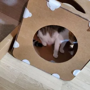 베스트 후기 이미지