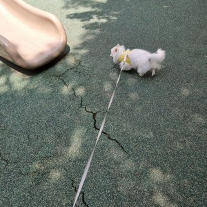 베스트 후기 이미지