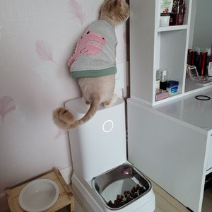 베스트 후기 이미지