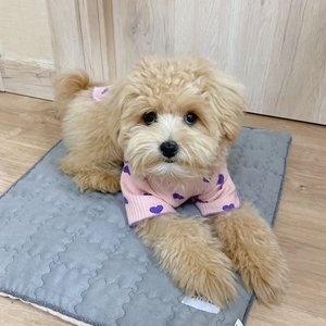 베스트 후기 이미지