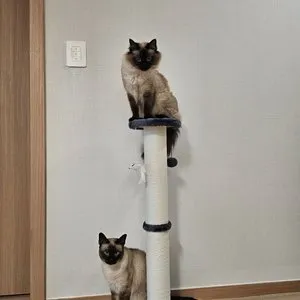 베스트 후기 이미지