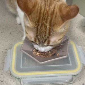 베스트 후기 이미지