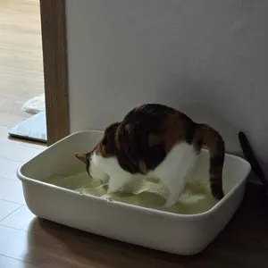 베스트 후기 이미지