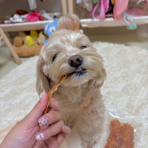 베스트 후기 이미지