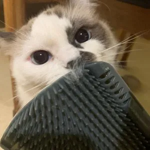 베스트 후기 이미지