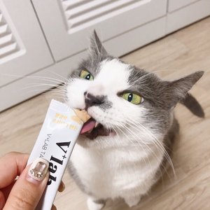 베스트 후기 이미지