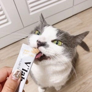 브이랩 캣 테이스트 헬스케어 15g*30p 베스트 후기 이미지