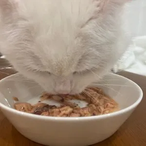 베스트 후기 이미지