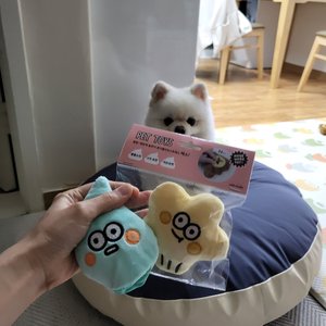 베스트 후기 이미지