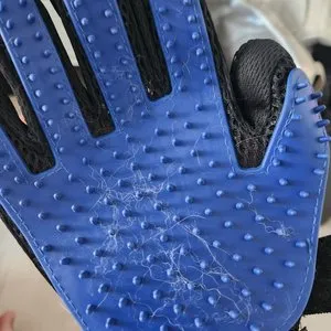 베스트 후기 이미지