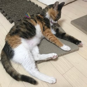 베스트 후기 이미지