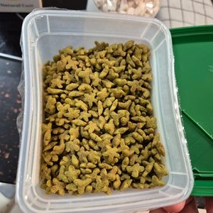 캣템 스피루리나 덴탈 쉬림프 500g 베스트 후기 이미지