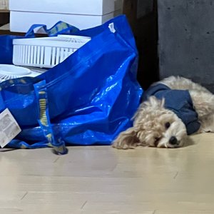 베스트 후기 이미지