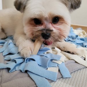 베스트 후기 이미지