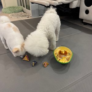 베스트 후기 이미지