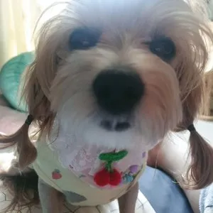 베스트 후기 이미지