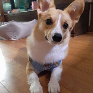 베스트 후기 이미지