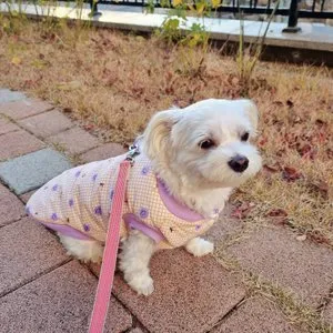 베스트 후기 이미지