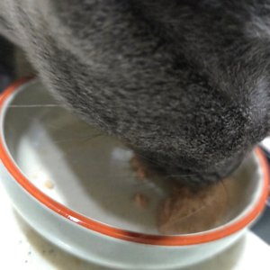 베스트 후기 이미지