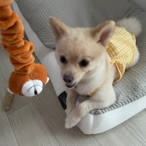 베스트 후기 이미지