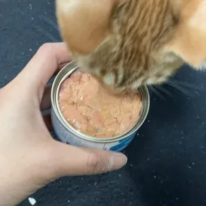 베스트 후기 이미지