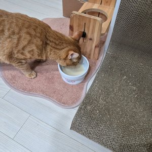 베스트 후기 이미지