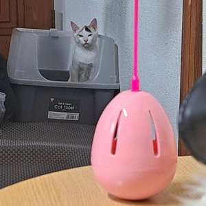 베스트 후기 이미지