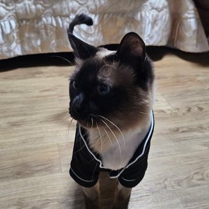 베스트 후기 이미지