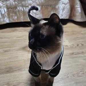 베스트 후기 이미지