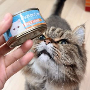 베스트 후기 이미지