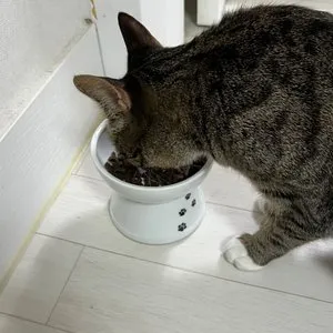 베스트 후기 이미지