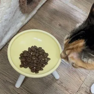 베스트 후기 이미지