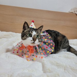 베스트 후기 이미지