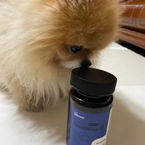 베스트 후기 이미지