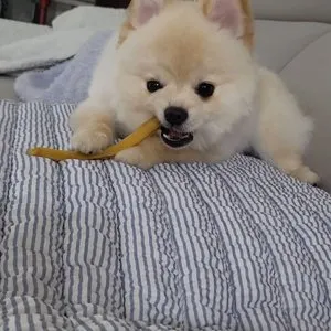 베스트 후기 이미지