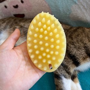 베스트 후기 이미지