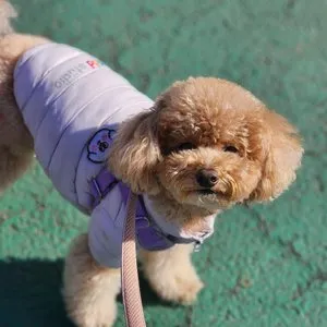 베스트 후기 이미지