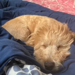 베스트 후기 이미지