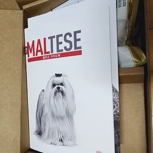 베스트 후기 이미지