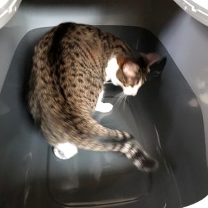 베스트 후기 이미지