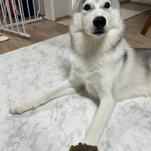 베스트 후기 이미지