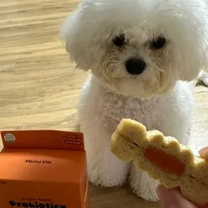 베스트 후기 이미지