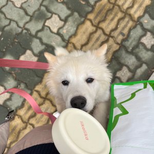 베스트 후기 이미지
