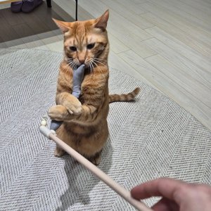 베스트 후기 이미지