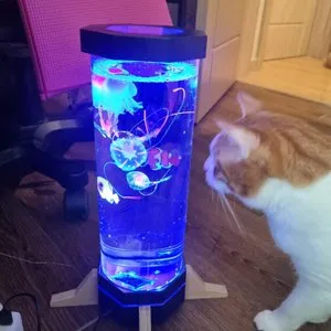 베스트 후기 이미지