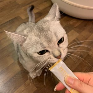 베스트 후기 이미지