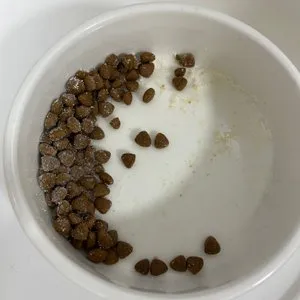 베스트 후기 이미지