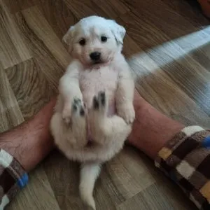 베스트 후기 이미지