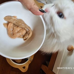 베스트 후기 이미지