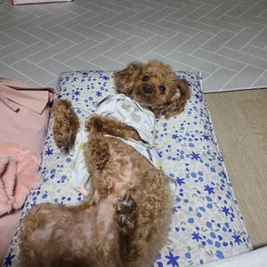 베스트 후기 이미지